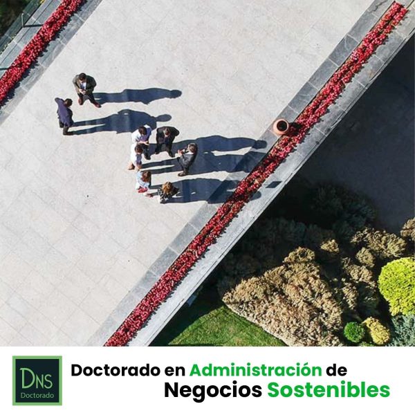 DNS-FB