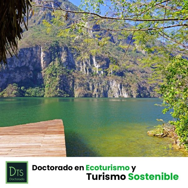 DTS-FB