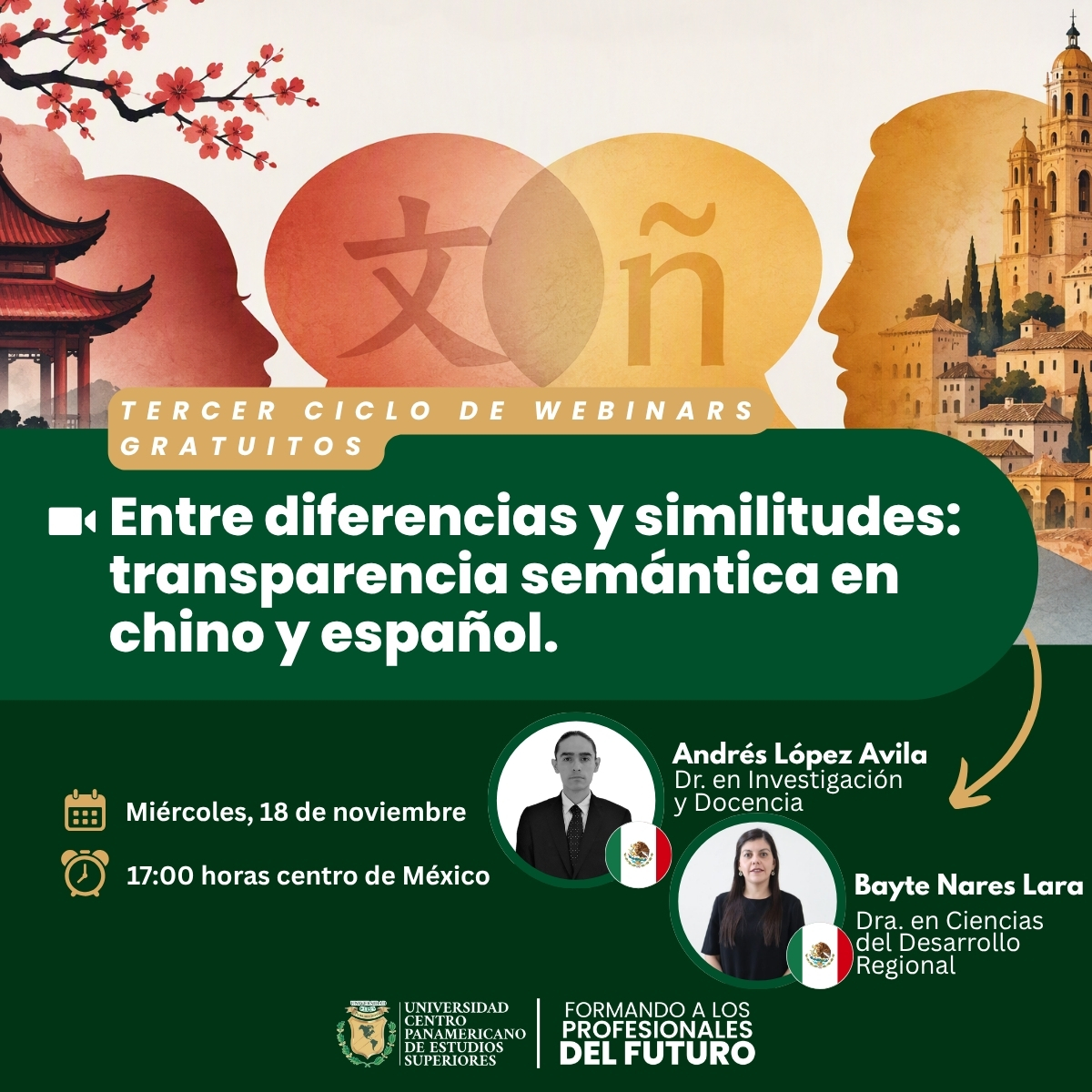 web 18 nov